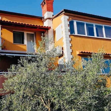 فيلا Kuca Za Odmor Vista Mare Marinici  المظهر الخارجي الصورة